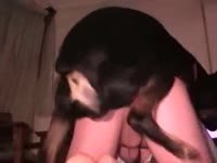 Gay beastiality lover got fucked by a dog